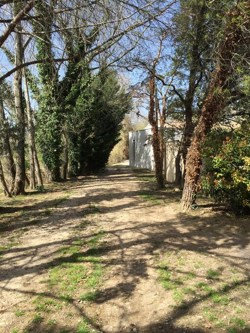 Petite allée traversant le jardin jusqu'au parking voitures