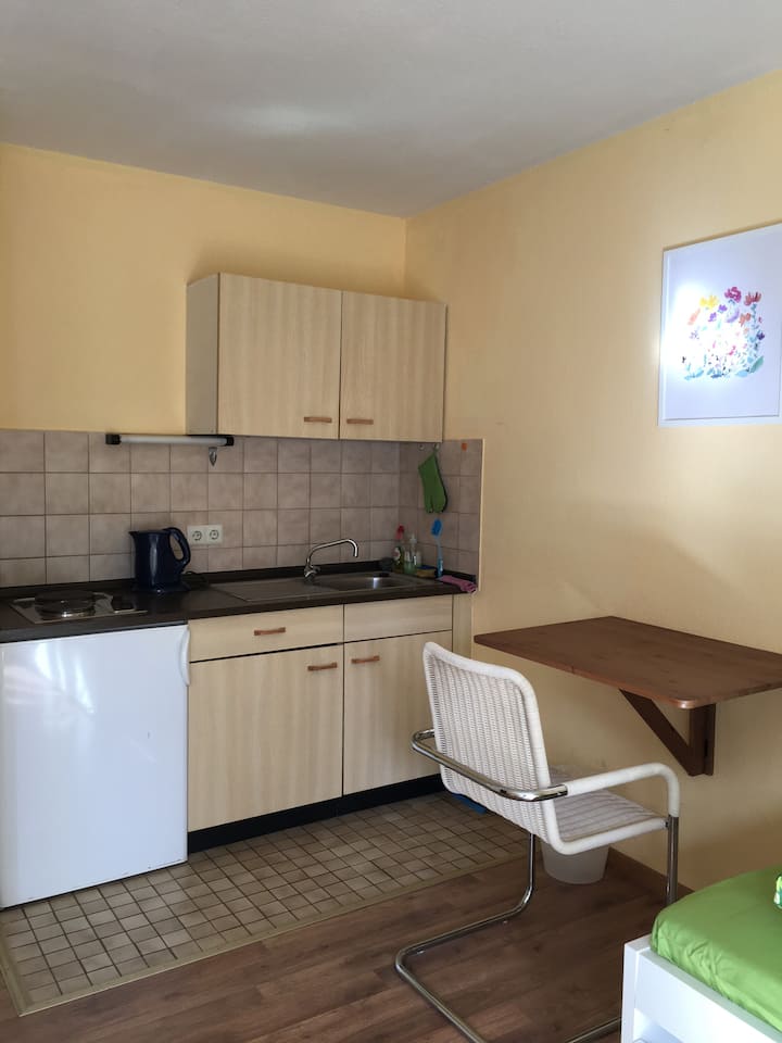 Bright All-in-one Appartment In Near City Center - Heidelberg