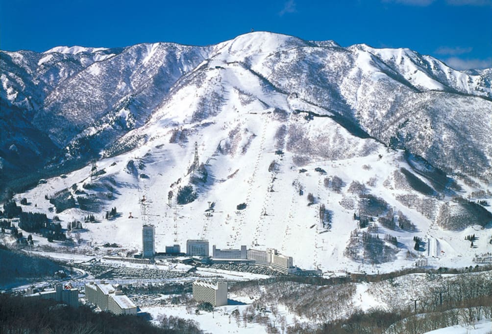 Winter Naeba Terrain