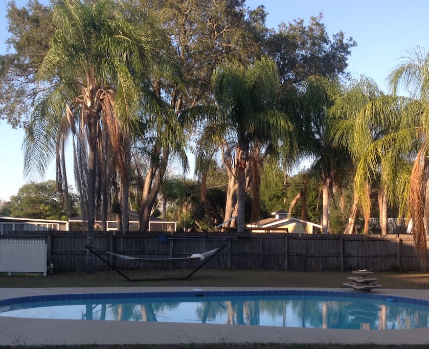 Beautiful backyard