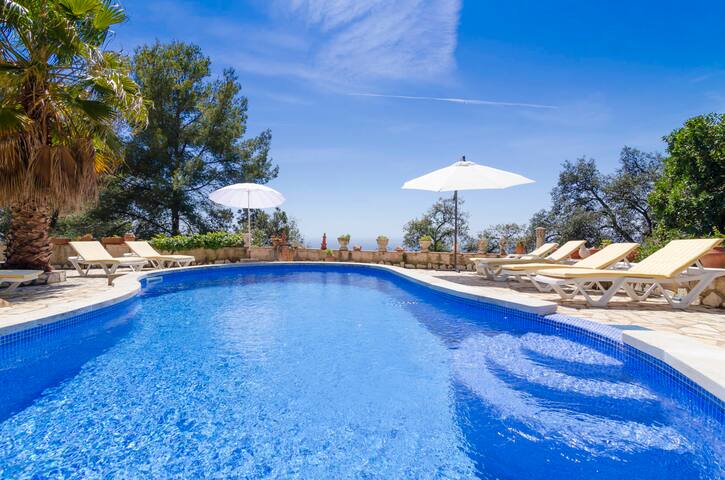 Club Villamar – Blossom gallery image 3