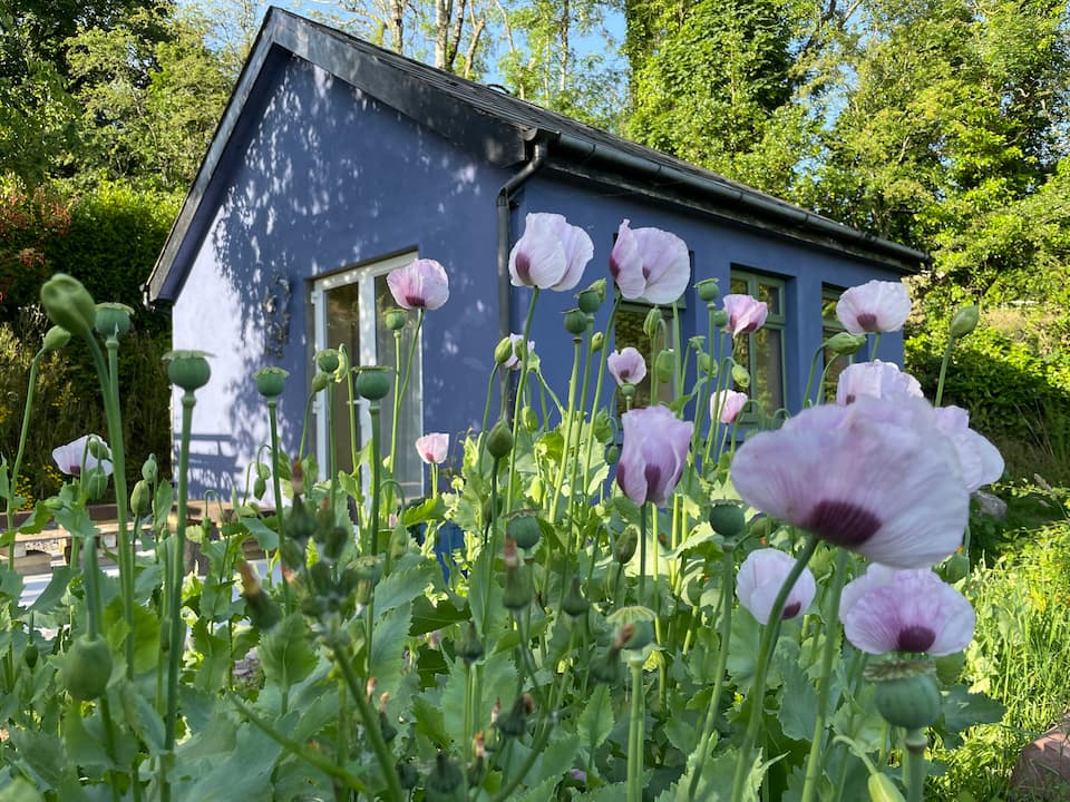 The Studio in the Sky — foto 1