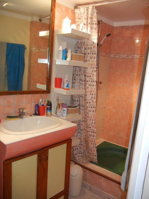 La salle de bain avec douche et wc.