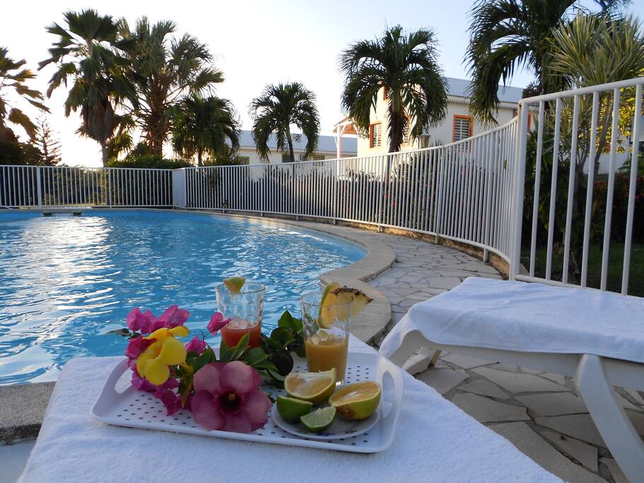 piscine apéritif ,,,, autorisé,,,