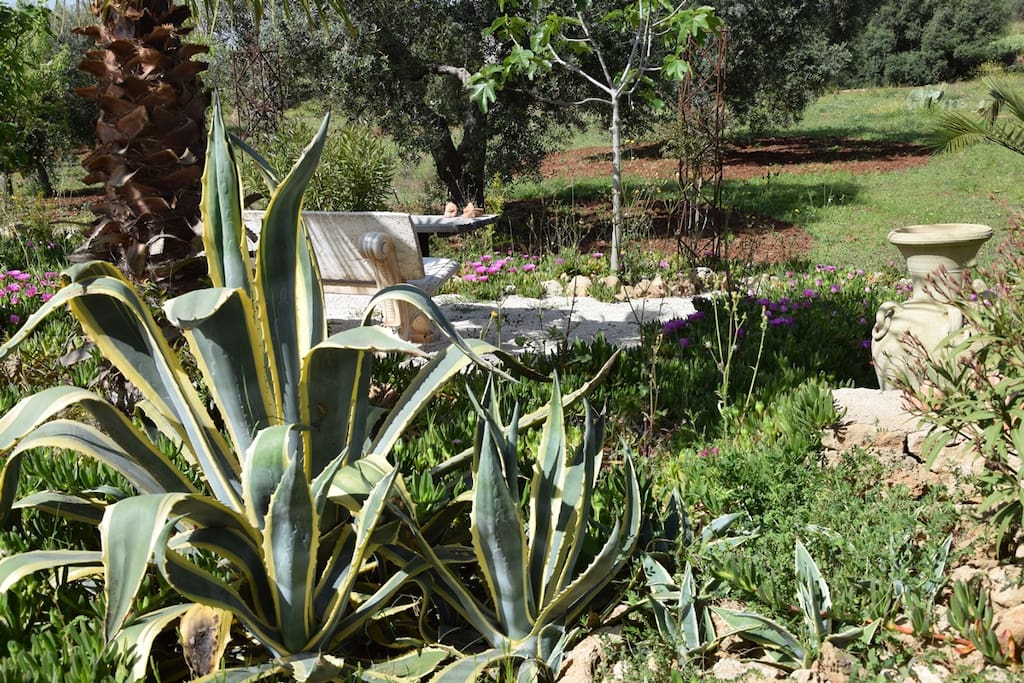 Der Paradiesgarten