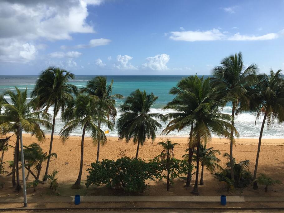 View
