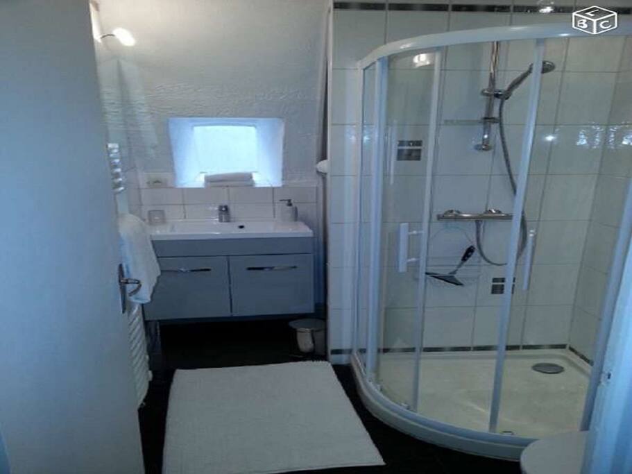 Salle d'eau lumineuse et douche spatieuse