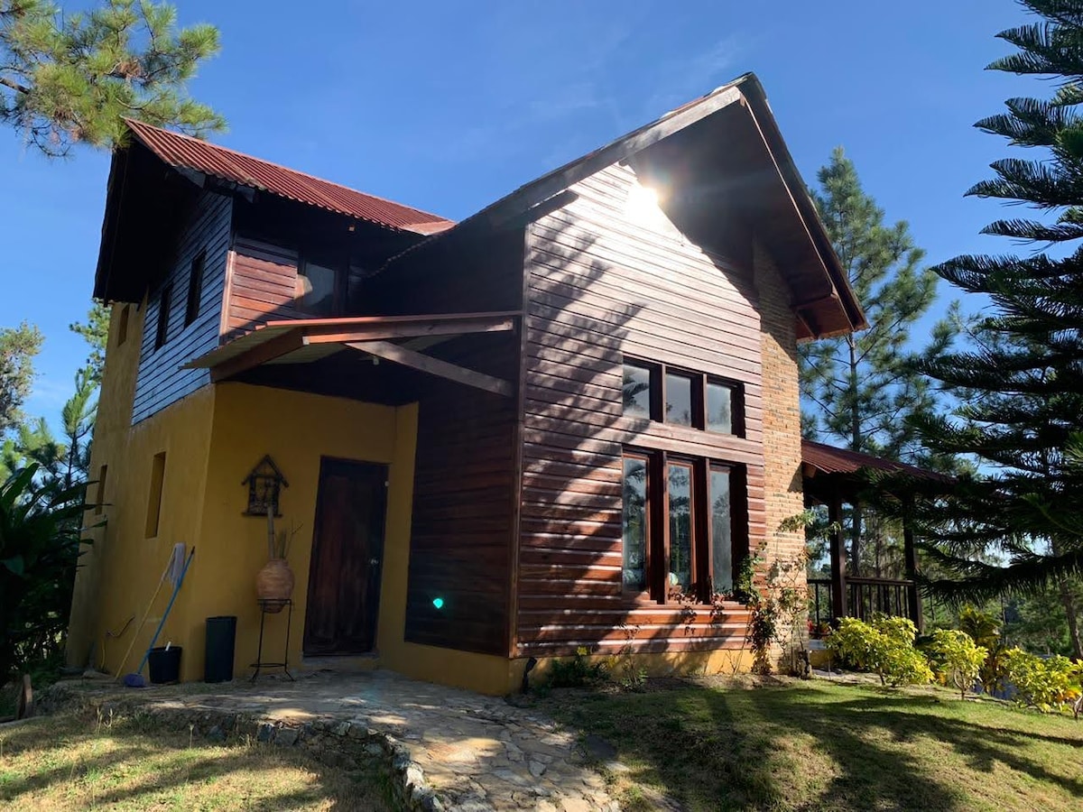 The rustic cabana features a wooden exterior with large windows, allowing ample natural light. The structure is complemented by a stone pathway leading to the entrance, surrounded by greenery and pine trees. A sloped roof adds to the cabin's charming aesthetic.