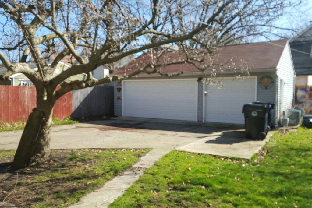 The Garage and back yard.