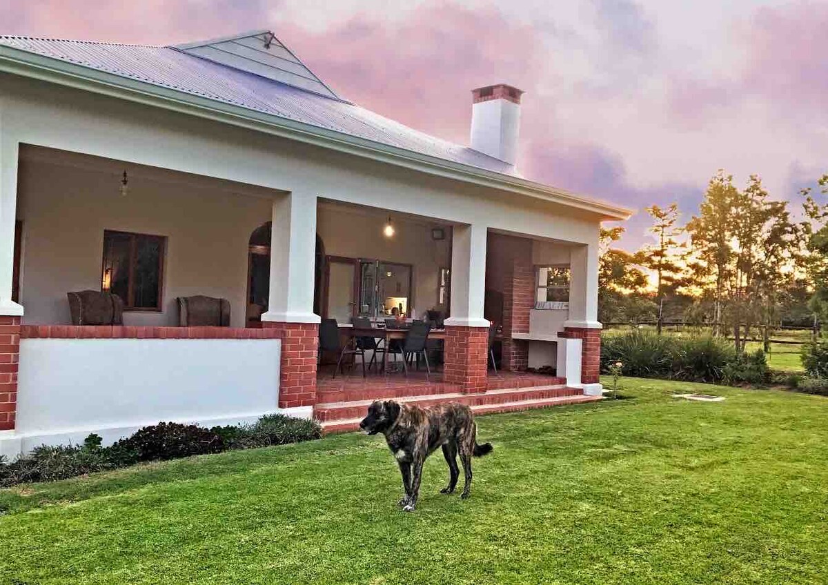 The farmhouse is set against a colorful sky, featuring a covered porch with comfortable seating. A spacious lawn surrounds the house, where a dog walks leisurely. An outdoor dining area and a built-in fireplace are visible, enhancing the inviting outdoor space.