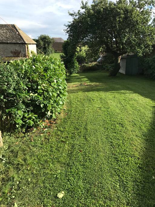 Back garden with fruit trees
