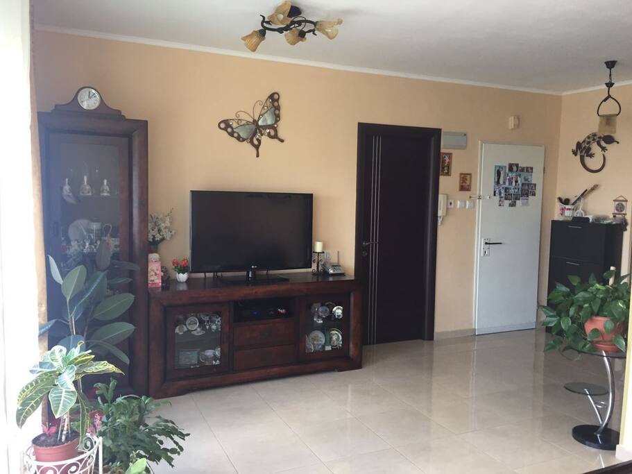 Living room and entrance