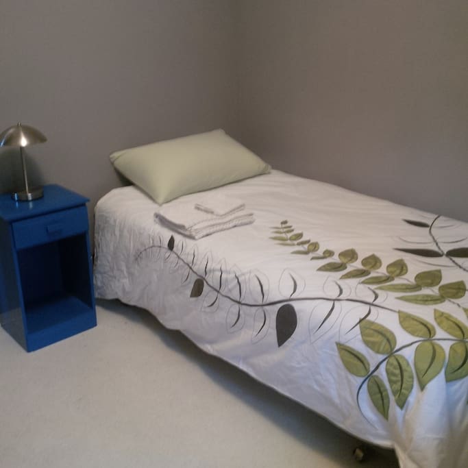 Single Room - its small but it has a decent size closet!
