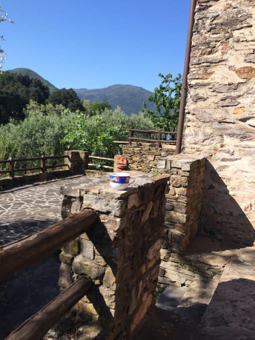 Coffee on the Terrace
