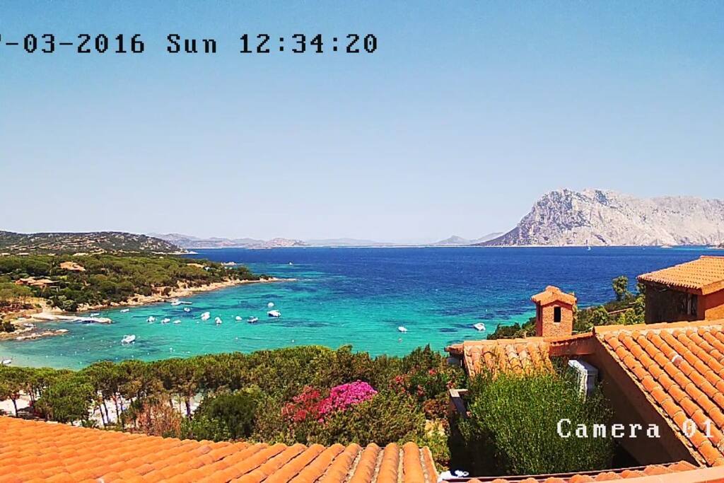 vista da terrazzo solarium su cala suaraccia e sull'isola di Tavolara