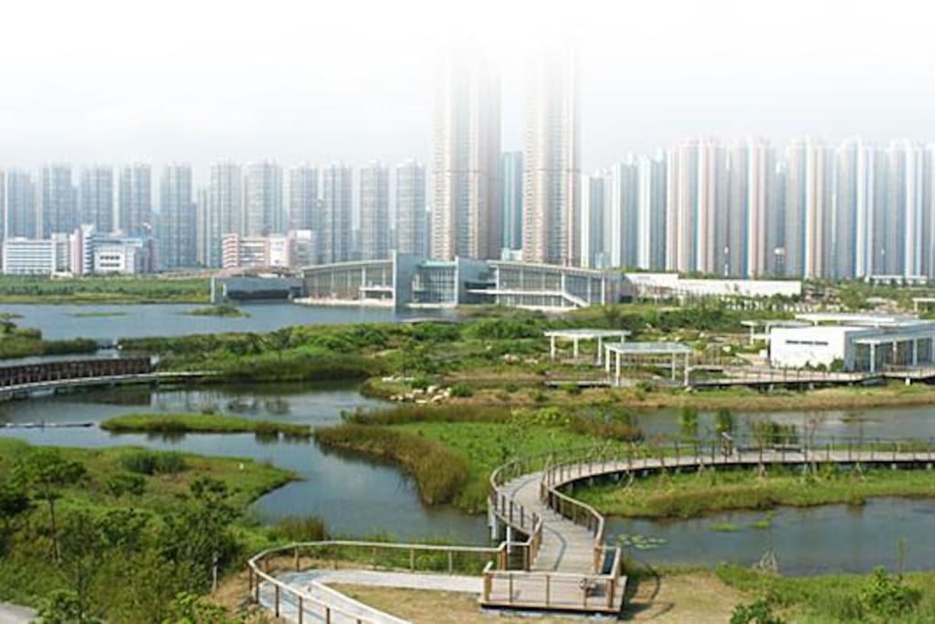 Wetland Park of Hong Kong