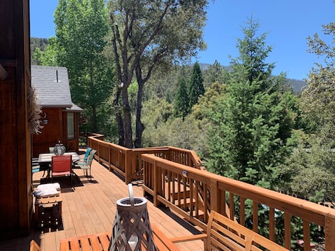 Heidi's Large Mountain Retreat Cabin w/ Sauna
