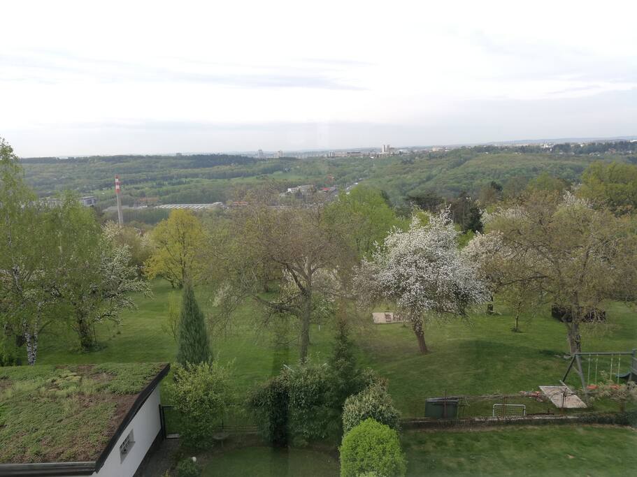 view from living room