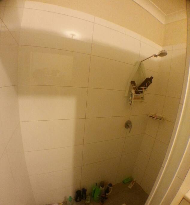 The only 1 shower room in the house