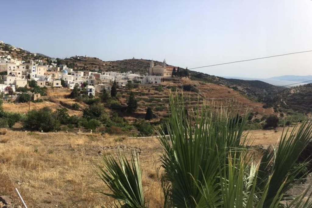 The view