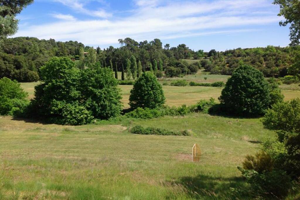 Extensive garden area