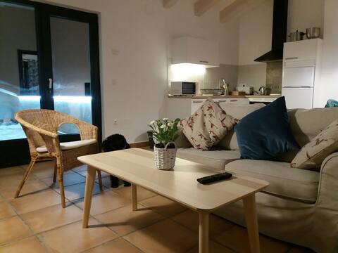 Apartment " El Huertecito" Navarredonda  Gredos.