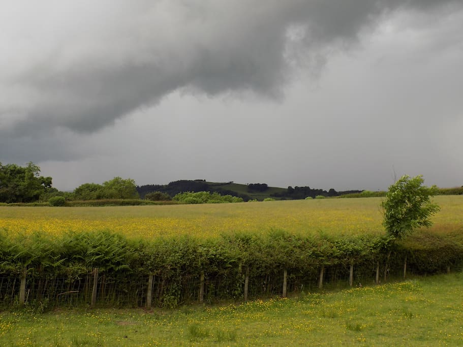 Nearby fields and meadows