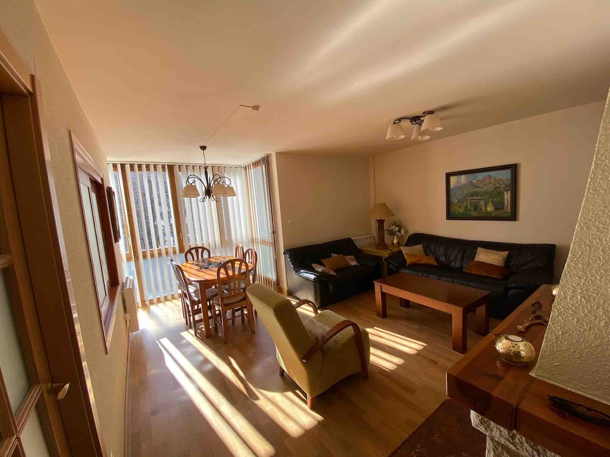 Successful Airbnb property: Cozy apartment in Panticosa in Panticosa
