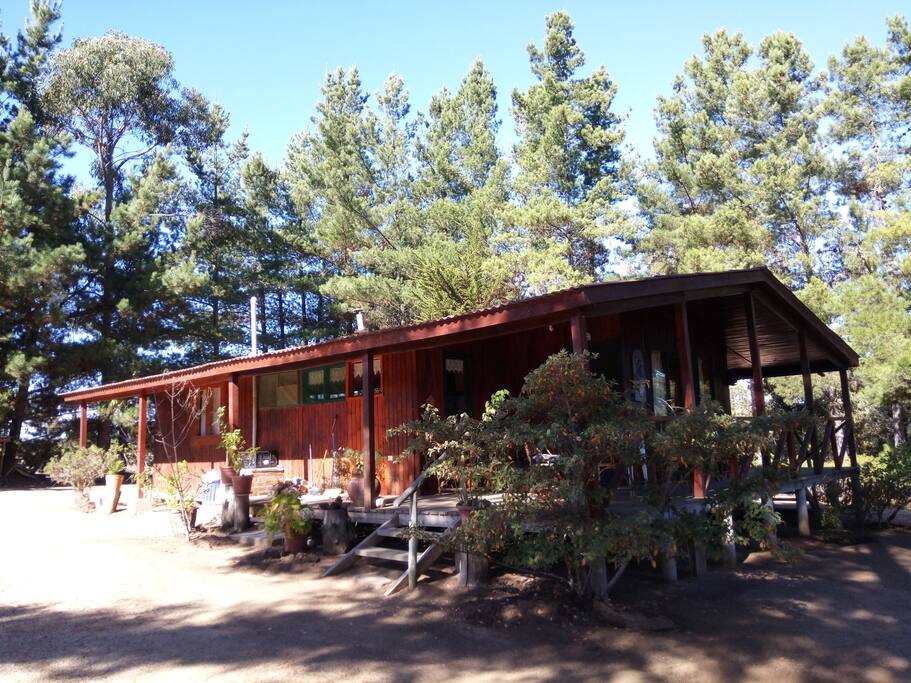 Casa 1
