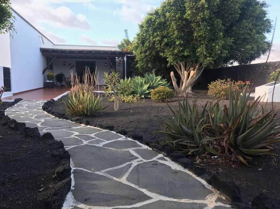 jardin y terraza delantera