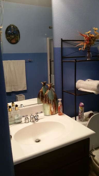 Bathroom w/ mirror