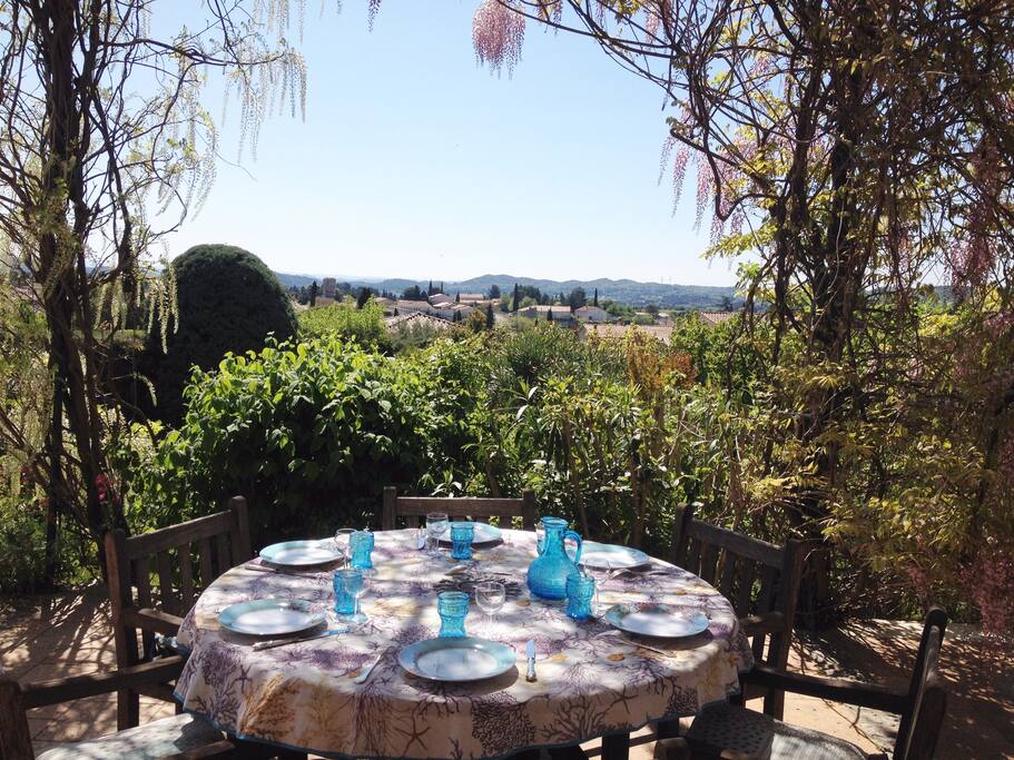 vue de la terrasse sur les Alpilles
