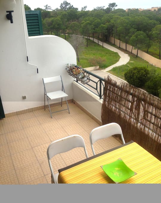 Terrace and path to beach
