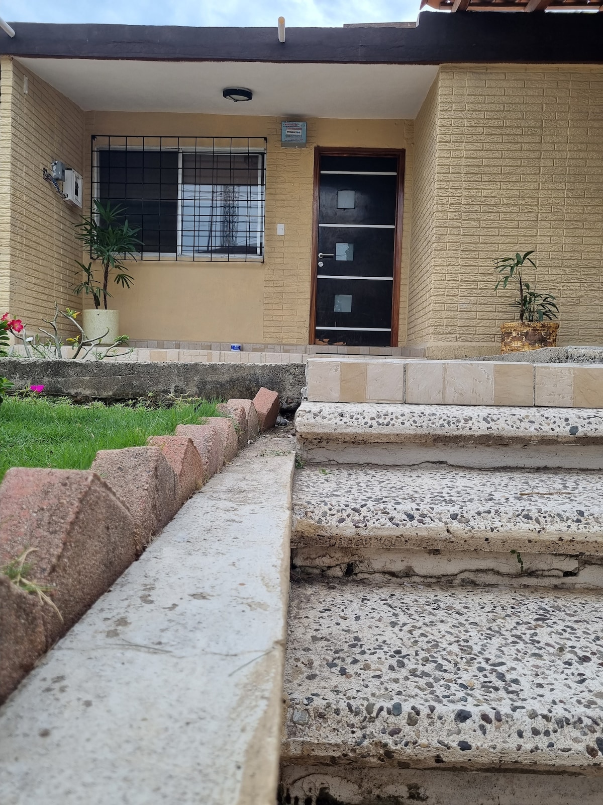 The entrance to the single-story home is visible, featuring a textured staircase leading up to the front door. A low wall made of stone and pink bricks borders the landscaped area filled with green grass and plants. A window with a decorative grill is also seen.