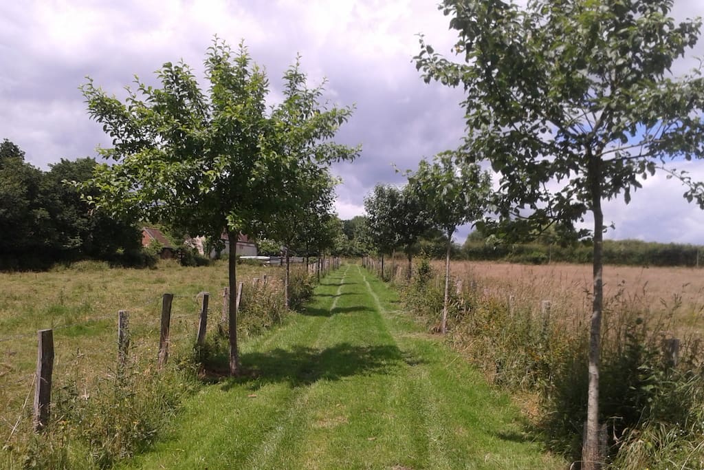 Chemin