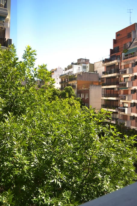 View from the flat