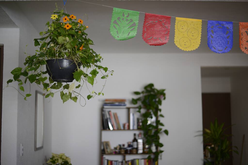 Living room - sala