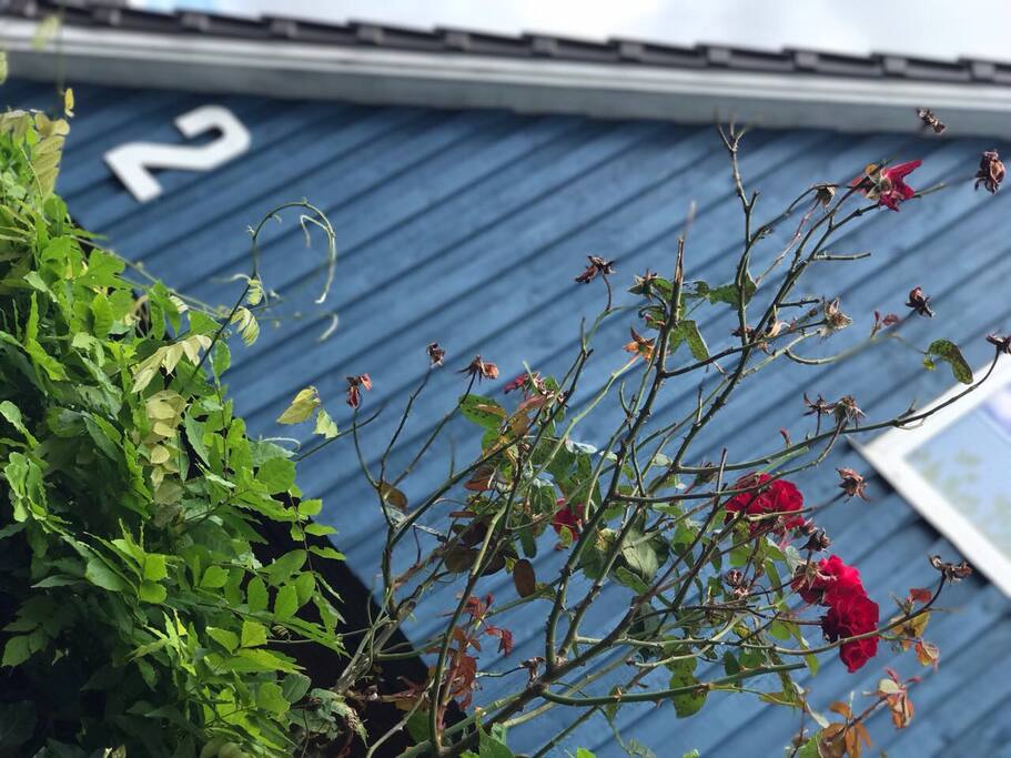 Das Haus von aussen