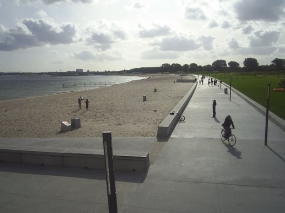 The beach at Amager Strandpark
