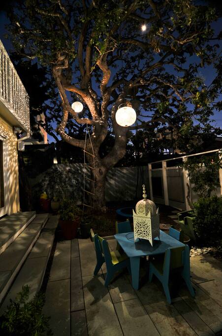 age old oak with beautiful ambient lighting