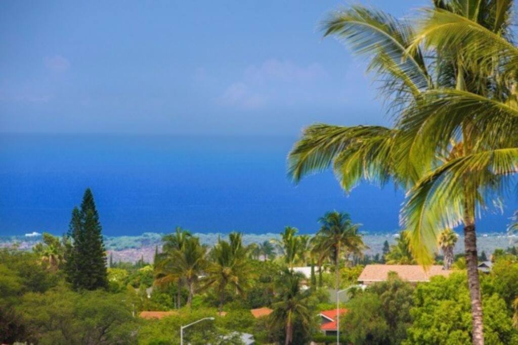 View From Lanai