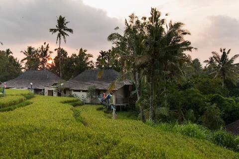 Ubud  Green Paradise. Villa Uma-Ijo
