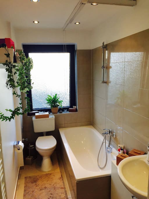 Elegant bathroom where you can take a bath or shower, there is a shower curtain.