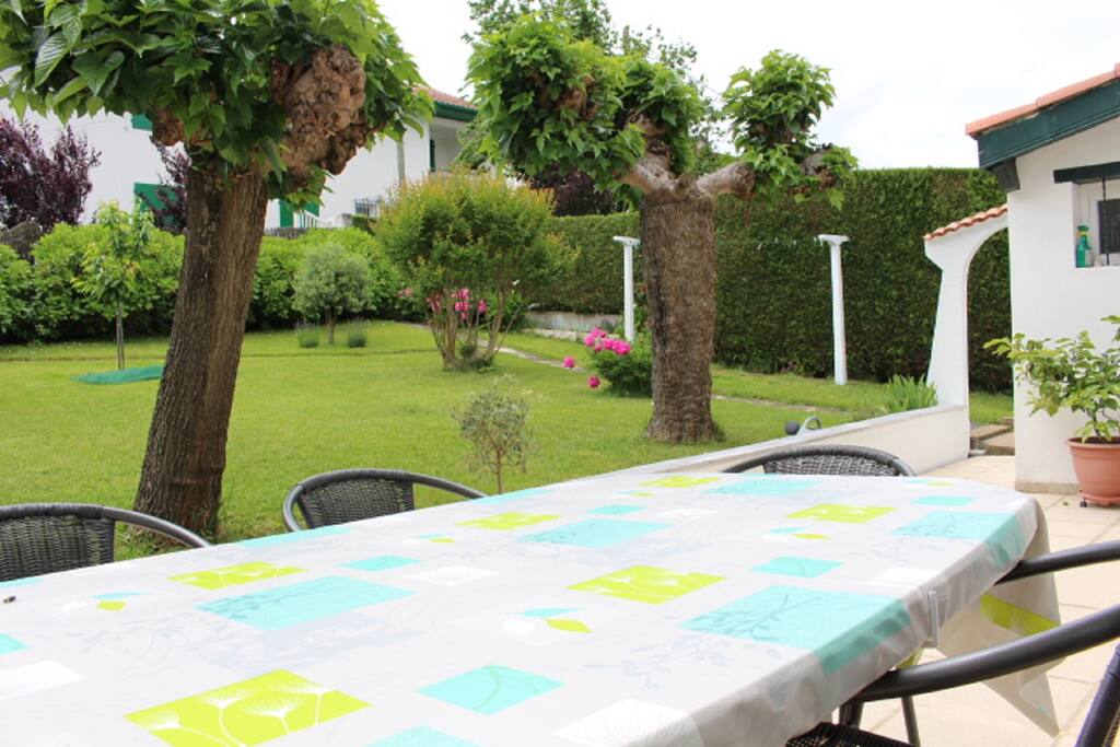 Vue de la terrasse (les 2 mûriers platanes possèdent davantage de feuilles l'été)