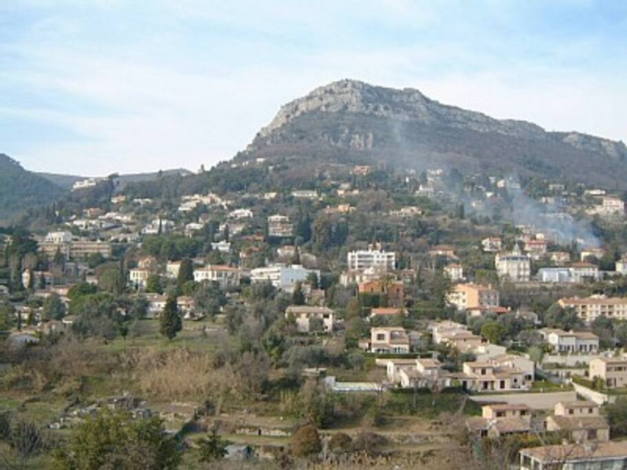 view from terrace
