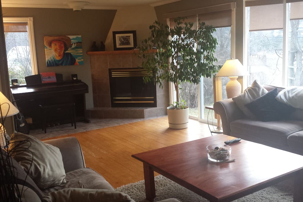 Gas fire place