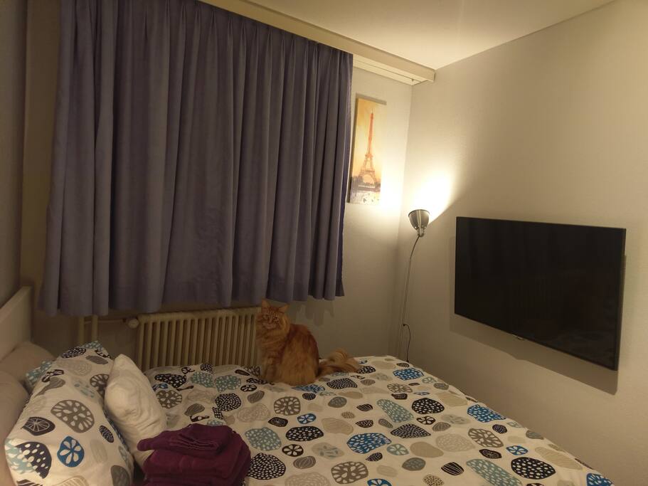 Swisscom TV, écran 124 cm