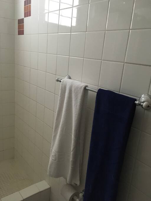 master bedroom bath