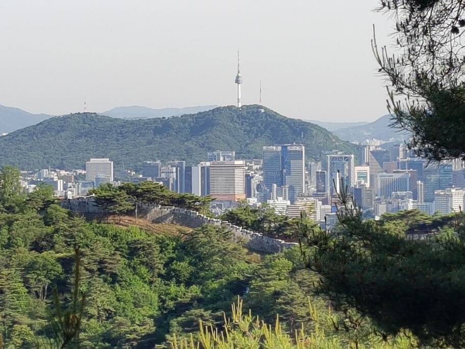 집근처 와룡공원에서 본 남산타워