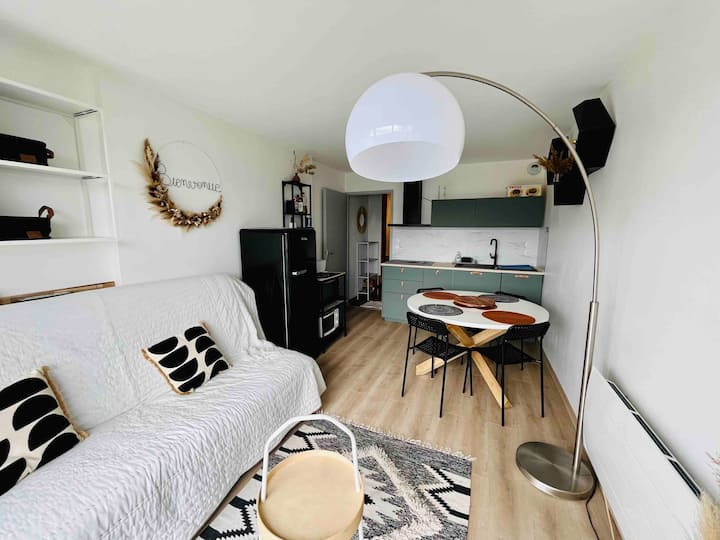 Appartement Chaleureux, Idéalement Situé, Vue Lac. - Les Angles